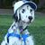 Brian Preece's profile image