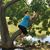 Lisa Cunningham Sepulveda's profile image