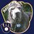 Richard Nancy Adamczewski's profile image