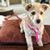 Elaine Svendsen's profile image