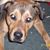 Lark Battaglia's profile image