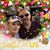 Evelyn Flores McEntee Aguilar-Cruz's profile image