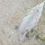 Sharon Gibney Tooker's profile image