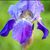 Mary L Shaver's profile image
