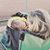 Jerrie Kramer's profile image