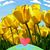 Tracey Potter's profile image
