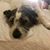 Sharon Distler's profile image