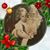 Linda Bellamy Harris's profile image