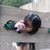 Chelsea Renea's profile image