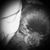 Michelle Chase's profile image