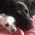 Kathleen Cherry Sharkey's profile image