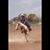 Nancy Luker Baker's profile image