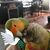 Roger Decesere's profile image