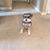 Donna Lindsey's profile image
