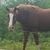 Rosie Vera's profile image