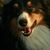 Elaine Kilgore's profile image