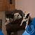 Anita Hagerty's profile image
