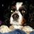 Vernon DeMoss's profile image
