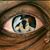 Dee King's profile image