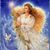 Connie Newcombe's profile image