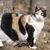 Cookie Tate's profile image