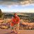 Traci R Jackson's profile image