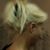 Ange Like's profile image