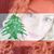 Rachelle Khoury's profile image