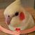 Joe Albrecht's profile image