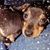 Kim Rainey's profile image