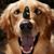 Kelly Sundy's profile image