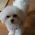 Pauline LeBlanc Berry's profile image