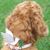 Ginger Hall's profile image