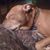 Bj Tait Alsup's profile image