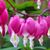 Wendy Gower's profile image