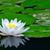 Carmen Chavira's profile image