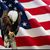Leigh Ann Bright Holland's profile image