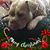 Paula Grisham's profile image
