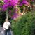 Francesca Wigle's profile image