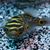 Sandy Eklof's profile image