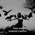 Beth Krantz's profile image