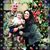 Kayla Dupler's profile image