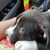 Lisa Ambrose Murray's profile image
