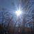 Candace Mattison Elliott's profile image