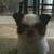 David Paternoster's profile image
