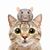 Deb Fisher-links's profile image