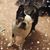 Theresa Lockman-Darin's profile image