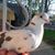 Connie Cleary's profile image