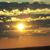 Susan Wagner Shellenberger's profile image
