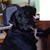 Paul E. Hutchinson's profile image
